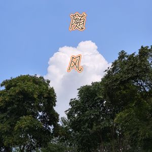 随风