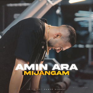 Mijangam