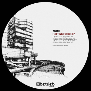 Fleeting Future (Leopold Bär Remix)
