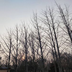 4月8日16点50分_20220408_170335