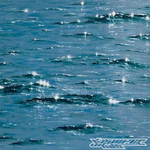 2 phones (feat. Benji The Machine)