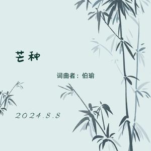 芒种(DJ版)