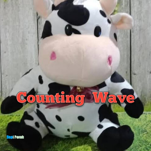 Counting Wave