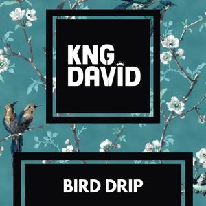 Bird Drip