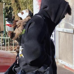 温热蝙蝠日记Acoustic