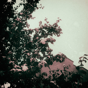 the waves of the galaxy (Bonus Track)