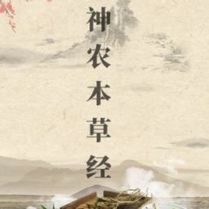 神农本草经