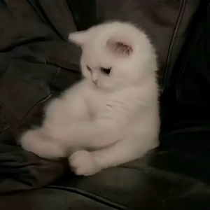 自私