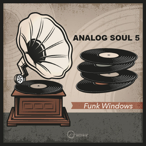 Analog Afro (Original Mix)