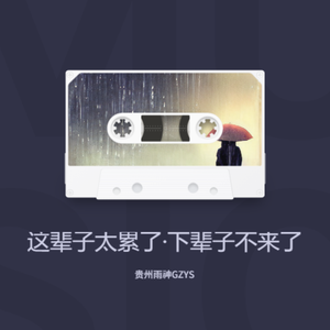 这辈子太累了·下辈子不来了