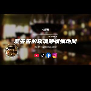 羞答答的玫瑰靜悄悄地開/大頭針