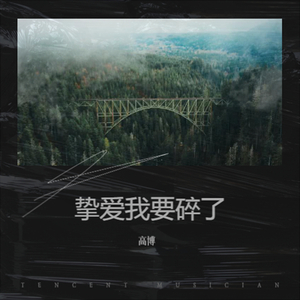 再也不见我念念不忘的人