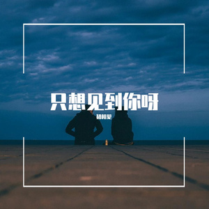 只想见到你呀