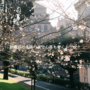 Smooth Jazz Ballad Soundtrack for Coffee Reflections