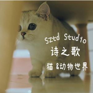 十一月四日风雨大作