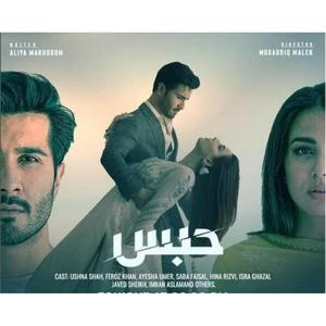 habs (feat. Shehroze Butt & Nirmal Roy)