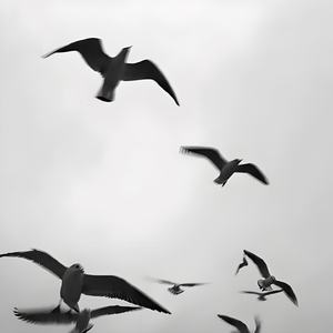 先说爱的人为什么先离开