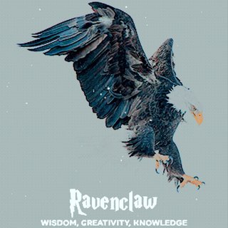 『Hp』Ravenclaw——来自湖畔的鹰