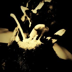 Part I: Lake of Acid (Come Out and Play, Sans-Titre/Doggy, Basiil, Seez, TeknOsOk, Lonely-Lioness)