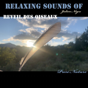 Réveil des oiseaux, Garrigue des Gras, Cévennes-Ardèche, Pt. 10