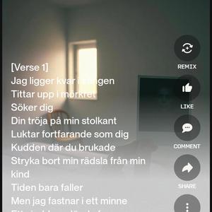 Del av mig som saknas