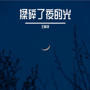 揉碎夜的光（温柔男声版）