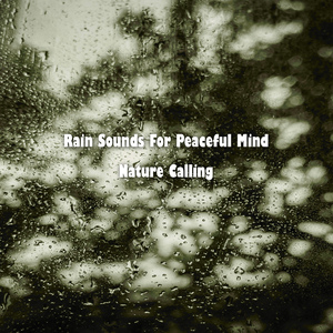 평온함을 주는 빗소리