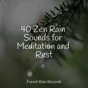 Rain, Vegetation, Wood, Heavy Wind