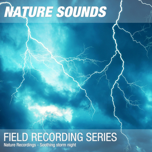 Nature Sounds for Sleep, Relaxation & Meditation (Heavy wind) 09