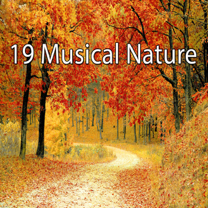 在人行道上跳繩