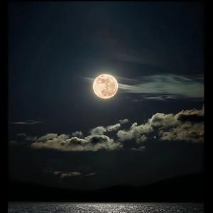 杨宗纬&宝石Gem&王宇宙Leto-若月亮没来（DJ亦辰 remix）