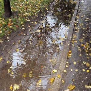 Phoenix Rising (Instrumental)