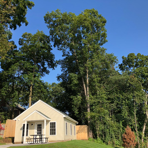 望东风 demo （Prod by Fulanji）