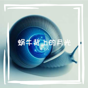 蜗牛背上的月光