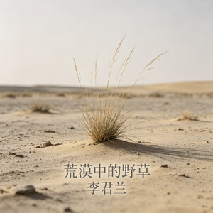 荒漠中的野草