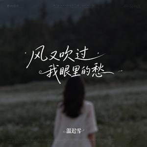 风又吹过我眼里的愁