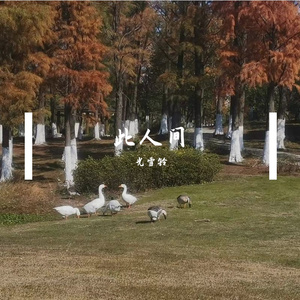 此人间（火涟）