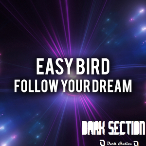 Follow Your Dreams (Original Mix)