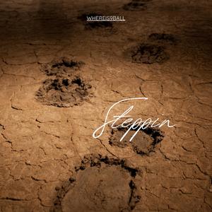 Steppin