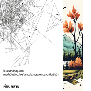 การนอนหลับอย่างเบาๆ