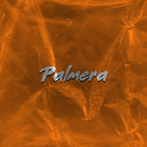 Palmera