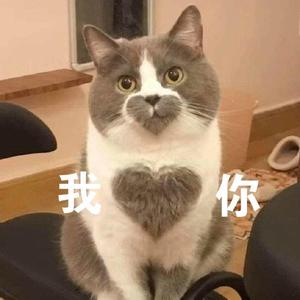 偏向（治愈完整版）（翻自 陈子晴）