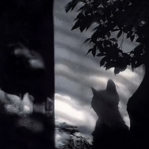 “孤独的房间”Emo Type beat