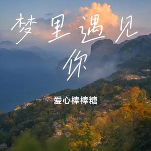 梦里遇见你