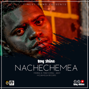 Nachechemea