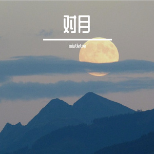 对月高歌