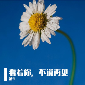 心碎的滋味你尝过几遍