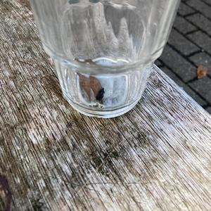 Ein ganz normaler Tag