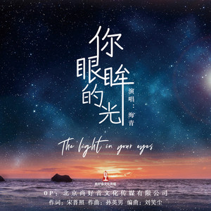 你眼眸的光