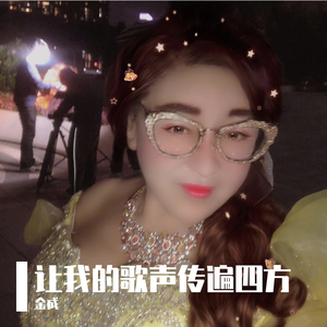 飞机降落的声音